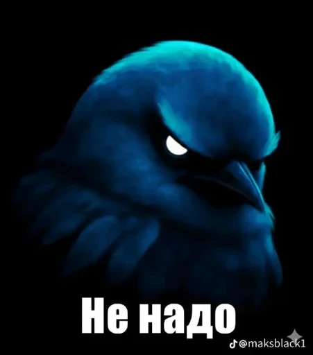 🤩 Стикер «Birds Memes» для Telegram