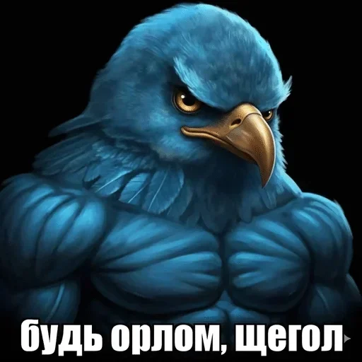 🐦 Стикер «Birds Memes» для Telegram