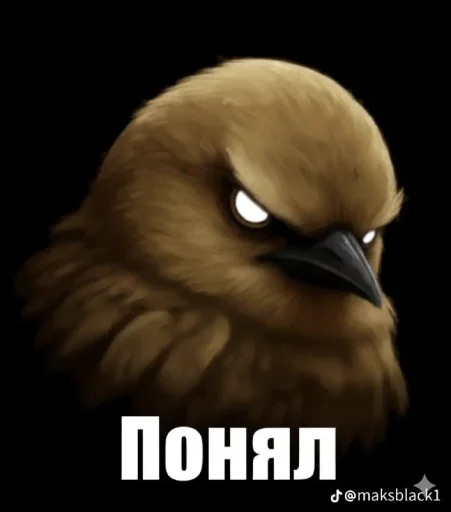 🤩 Стикер «Birds Memes» для Telegram