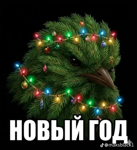 🤩 Стикер «Birds Memes» для Telegram