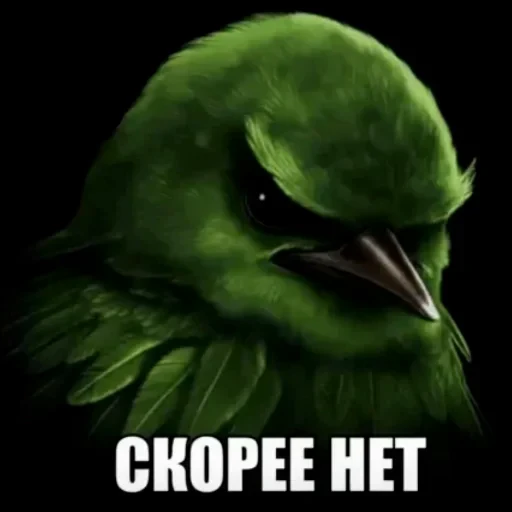 🐦 Стикер «Birds Memes» для Telegram
