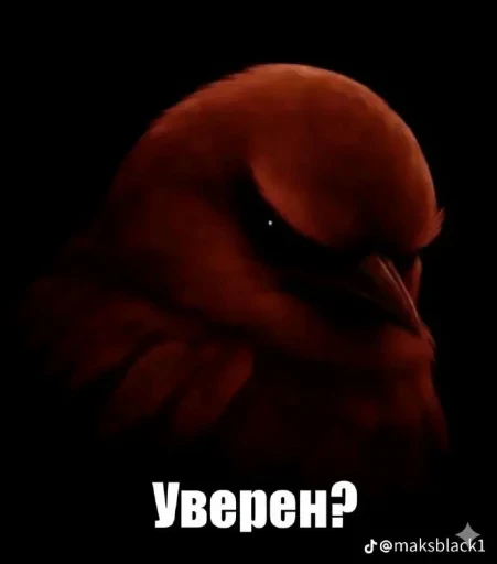 🤩 Стикер «Birds Memes» для Telegram