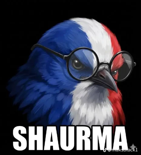 🤩 Стикер «Birds Memes» для Telegram