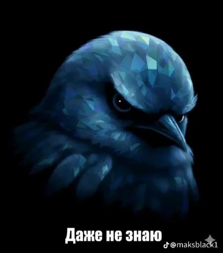 🤩 Стикер «Birds Memes» для Telegram