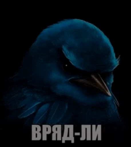 Стикерпак Birds Memes для Telegram