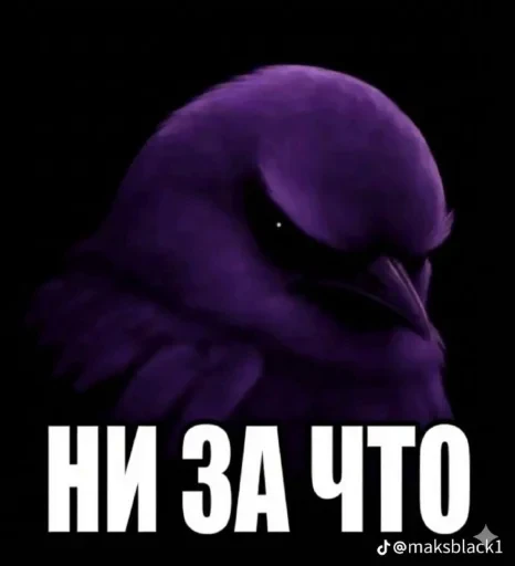 🤩 Стикер «Birds Memes» для Telegram