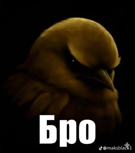 🤩 Стикер «Birds Memes» для Telegram