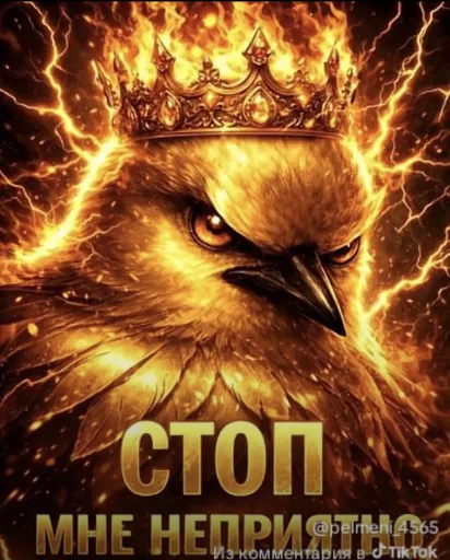 🤩 Стикер «Birds Memes» для Telegram