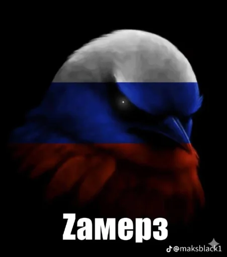 🤩 Стикер «Birds Memes» для Telegram