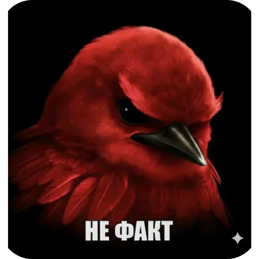 🐦 Стикер «Birds Memes» для Telegram