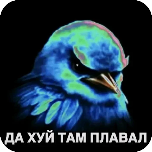 🐦 Стикер «Birds Memes» для Telegram