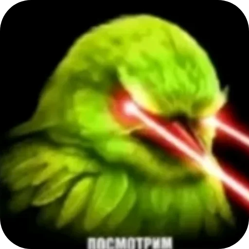 🐦 Стикер «Birds Memes» для Telegram
