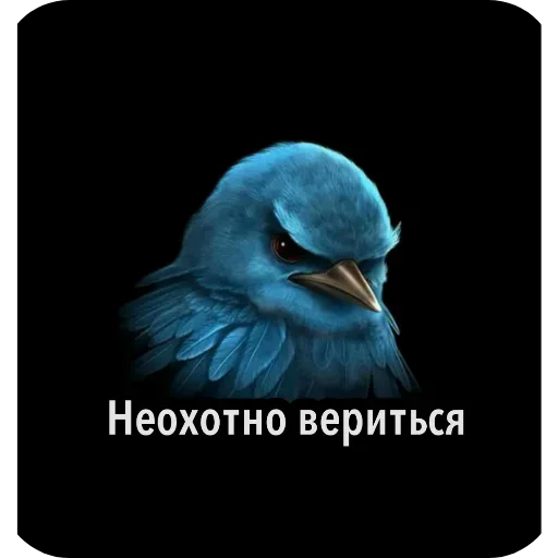 🐦 Стикер «Birds Memes» для Telegram
