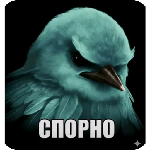 🐦 Стикер «Birds Memes» для Telegram