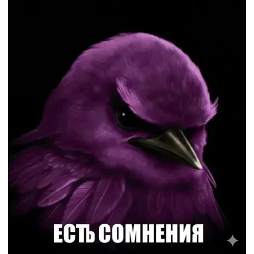 🐦 Стикер «Birds Memes» для Telegram