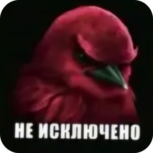 🐦 Стикер «Birds Memes» для Telegram