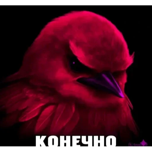 🐦 Стикер «Birds Memes» для Telegram