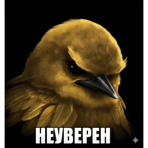 🐦 Стикер «Birds Memes» для Telegram