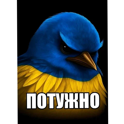 🐦 Стикер «Birds Memes» для Telegram
