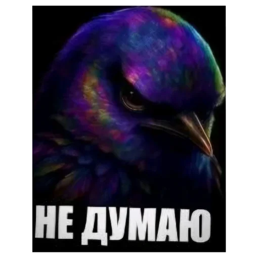 🐦 Стикер «Birds Memes» для Telegram
