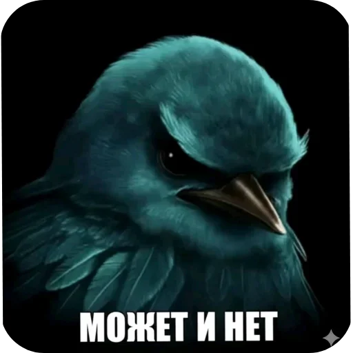 🐦 Стикер «Birds Memes» для Telegram