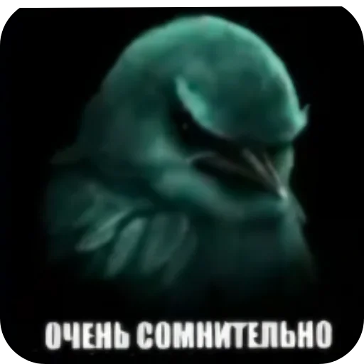 🐦 Стикер «Birds Memes» для Telegram