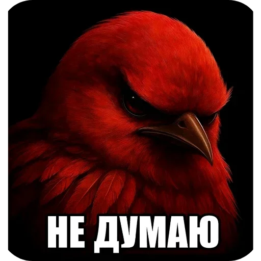 🐦 Стикер «Birds Memes» для Telegram