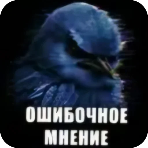 🐦 Стикер «Birds Memes» для Telegram