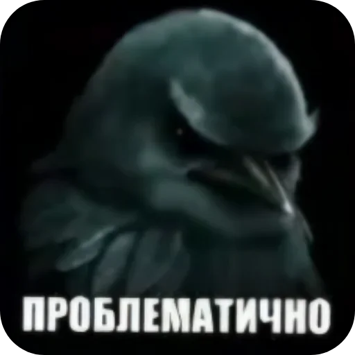 🐦 Стикер «Birds Memes» для Telegram