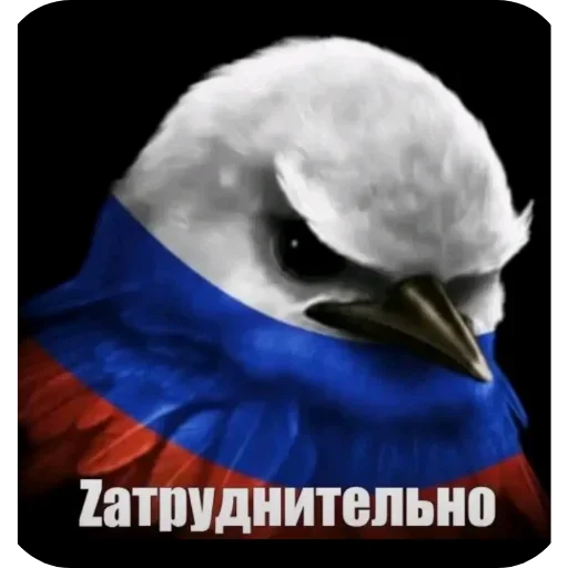🐦 Стикер «Birds Memes» для Telegram