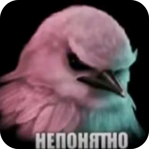 🐦 Стикер «Birds Memes» для Telegram