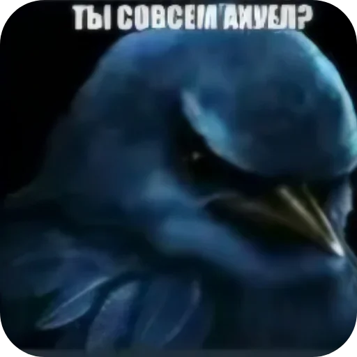 🐦 Стикер «Birds Memes» для Telegram