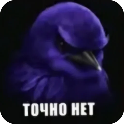 🐦 Стикер «Birds Memes» для Telegram