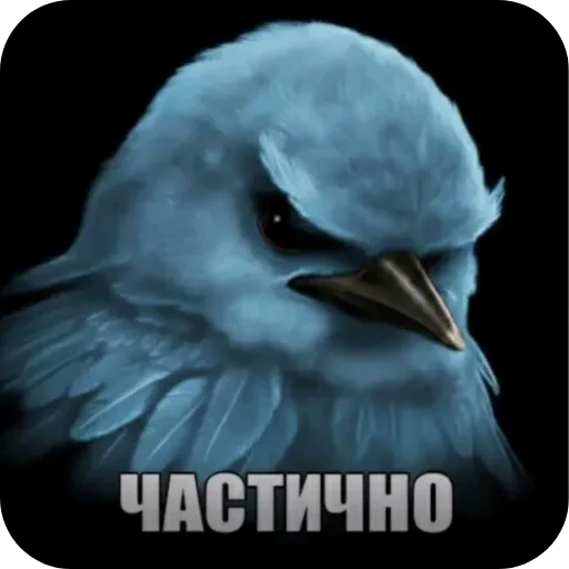 🐦 Стикер «Вряд-ли» для Telegram
