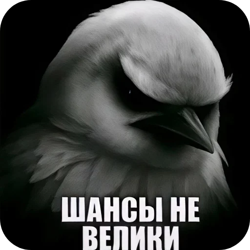 🖼 Стикер «Вряд-ли» для Telegram
