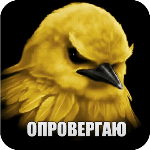 🐦 Стикер «Вряд-ли» для Telegram