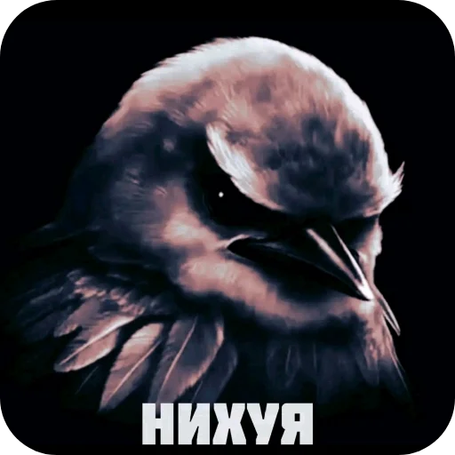 🐦 Стикер «Вряд-ли» для Telegram