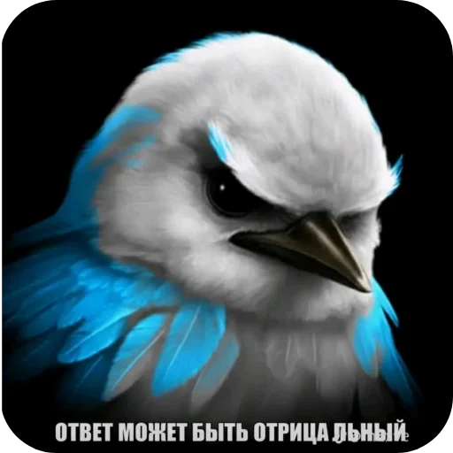 🐦 Стикер «Вряд-ли» для Telegram