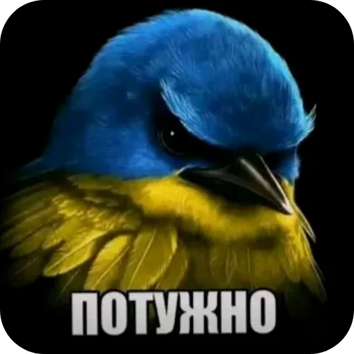 🐦 Стикер «Вряд-ли» для Telegram