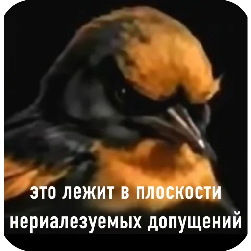 🖼 Стикер «Вряд-ли» для Telegram