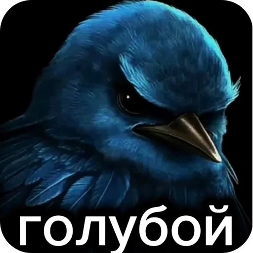 🐦 Стикер «Вряд-ли» для Telegram