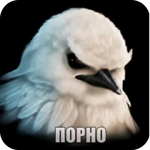 🐦 Стикер «Вряд-ли» для Telegram