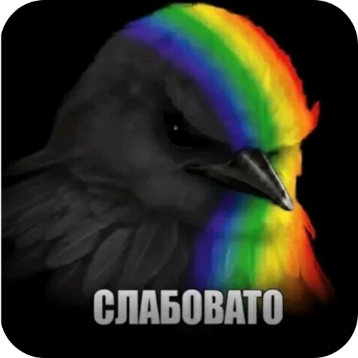 🐦 Стикер «Вряд-ли» для Telegram