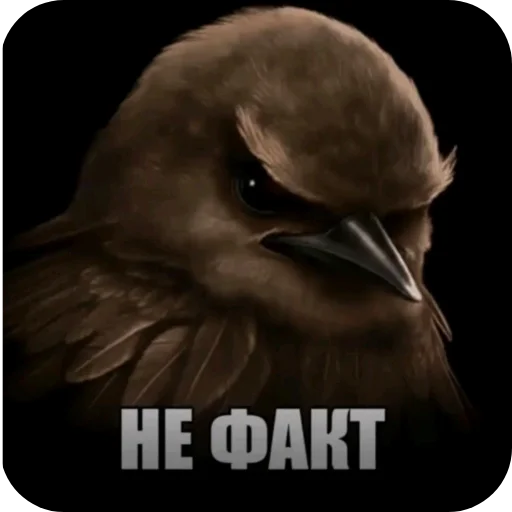 🐦 Стикер «Вряд-ли» для Telegram