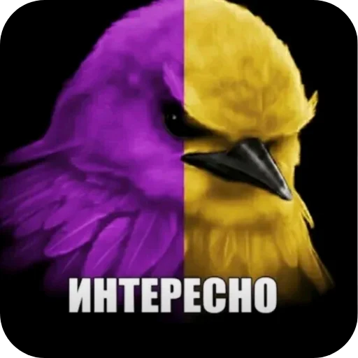 🐦 Стикер «Вряд-ли» для Telegram