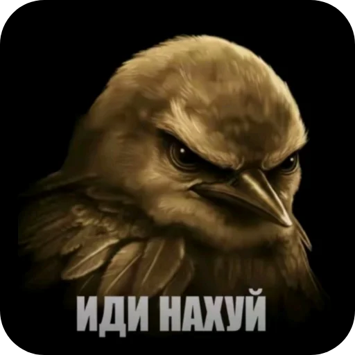🐦 Стикер «Вряд-ли» для Telegram