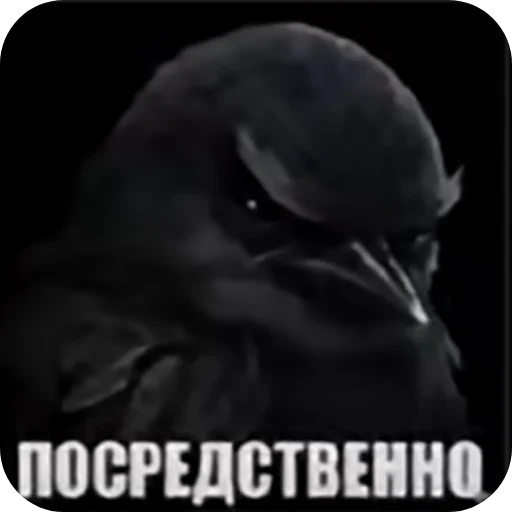 🖼 Стикер «Вряд-ли» для Telegram