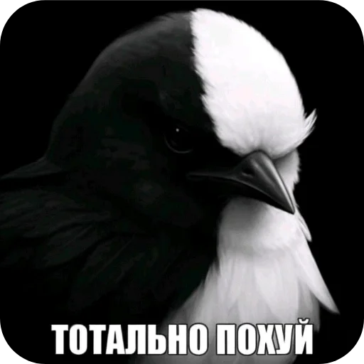 🖼 Стикер «Вряд-ли» для Telegram