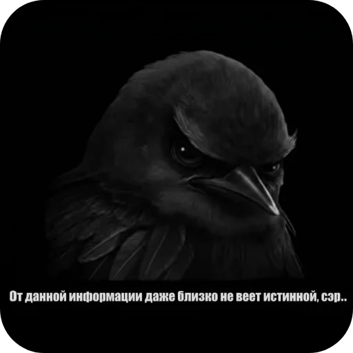 🐦 Стикер «Вряд-ли» для Telegram