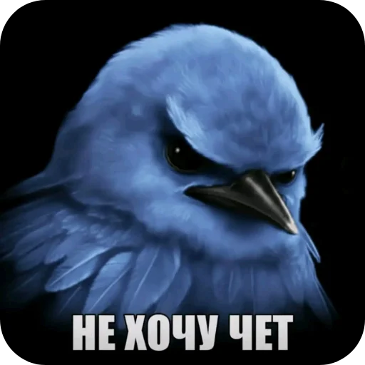 🐦 Стикер «Вряд-ли» для Telegram